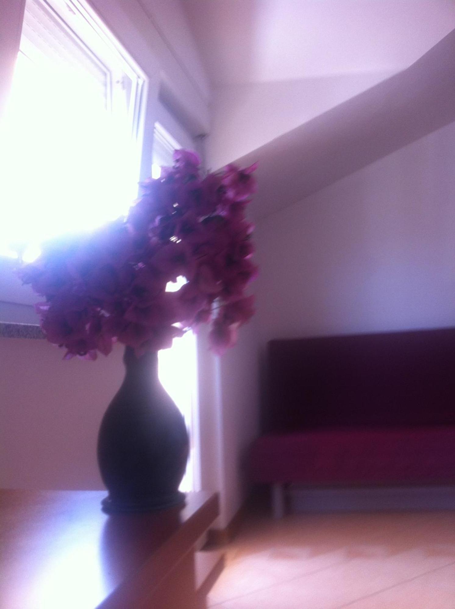 Apartments Juric Baška Voda Zimmer foto